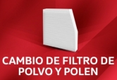 Cambio de filtro de polvo y polen