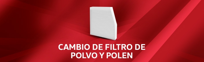 Cambio de filtro de polvo y polen