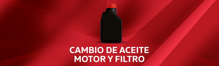 Cambio de aceite Motor y Filtro